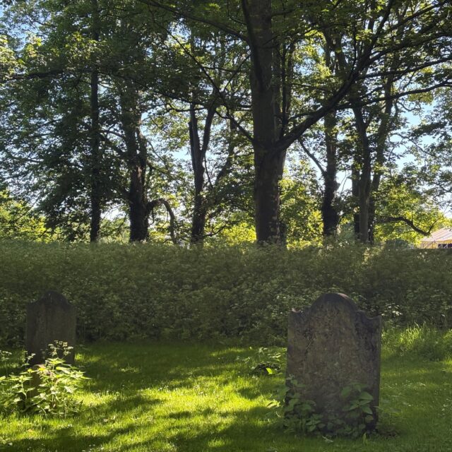 Bully’s Acre Cemetery Tour