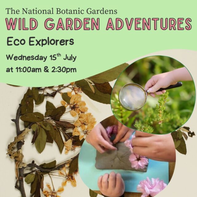 Wild Garden Adventures: Eco Explorers
