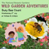 Poster for Pollinator Children's event