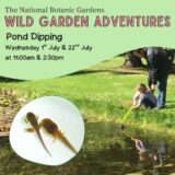 Poster for pond dipping Event