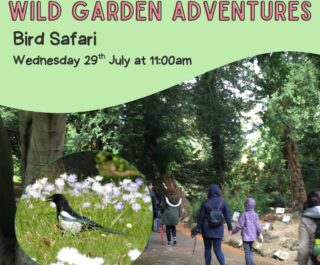 Poster for Garden Event Poster for Garden Event