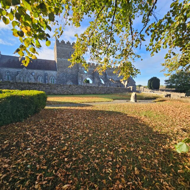 Community Day at St Mary’s Church, Gowran