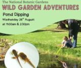 Poster for Pond dipping