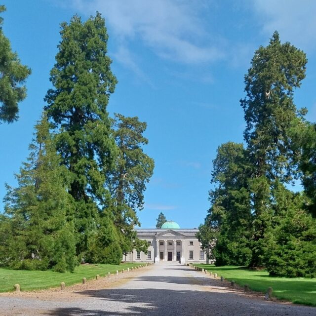 Emo Court Wellingtonia Avenue Walk- Emo Court