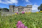 Emo Court exterior