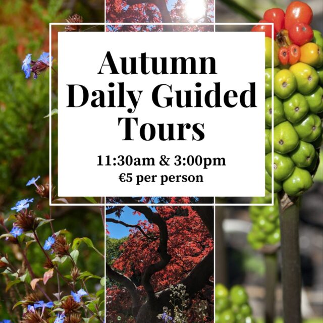 Autumn Daily Guided Tours