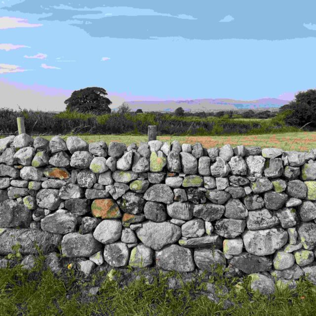 Stone by Stone: dry stone wall restoration at Carrowmore