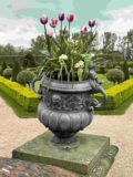 flowers in a stone urn, overlooking the formal gardens