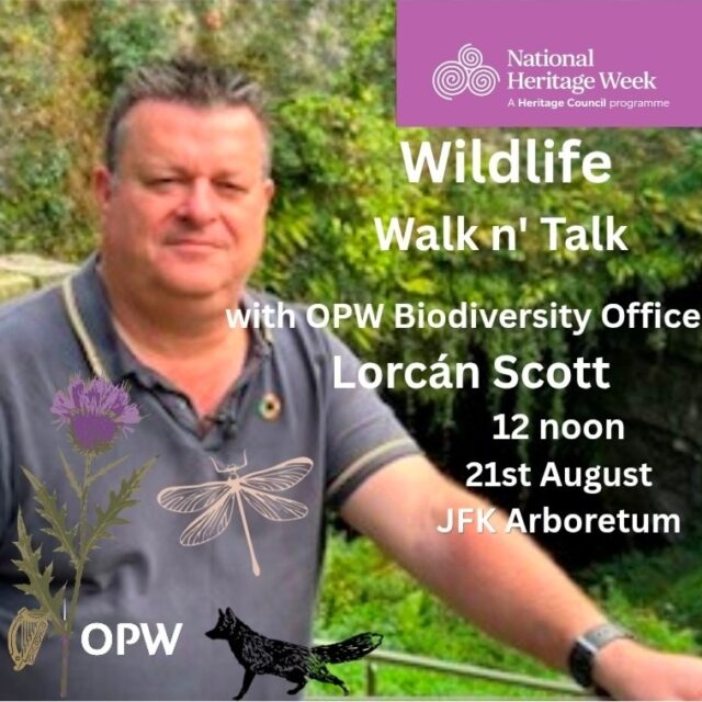 Wildlife Walk n’ Talk