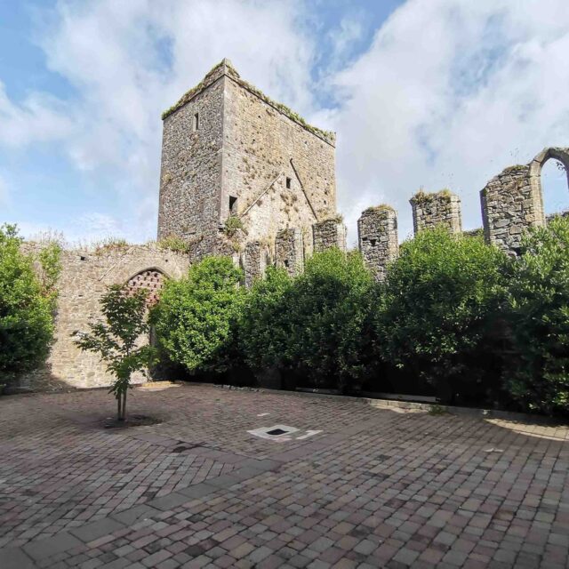 Guided tour of St. Dominic’s Friary, Cashel