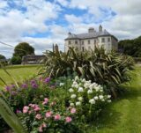 A garden and house