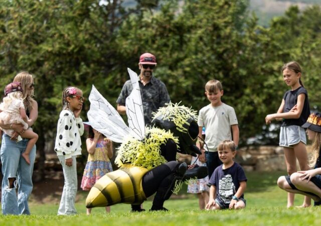 Dublin Theatre Festival: Bees