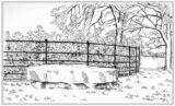 Drawing of a Cromlech