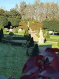 A Garden basked in sunlight shadow