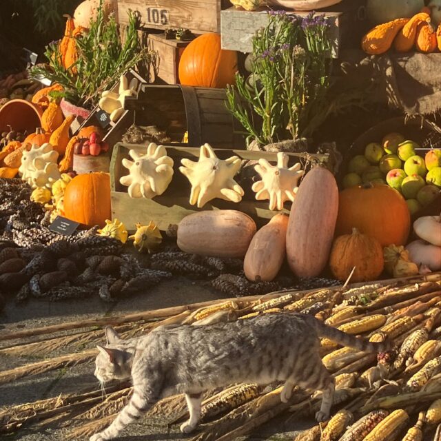 Halloween at Glasnevin