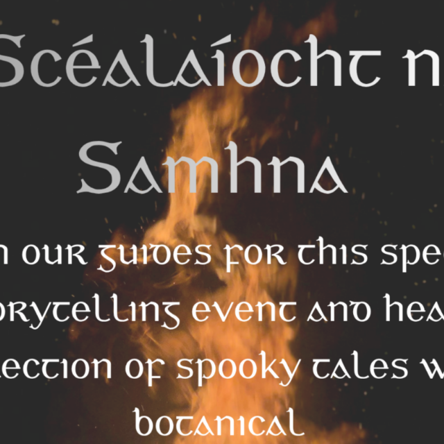 Scealaíocht na Samhna