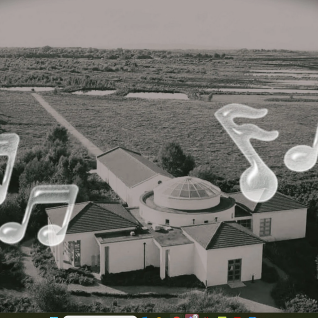 Féile na Samhna; FIR BOLG