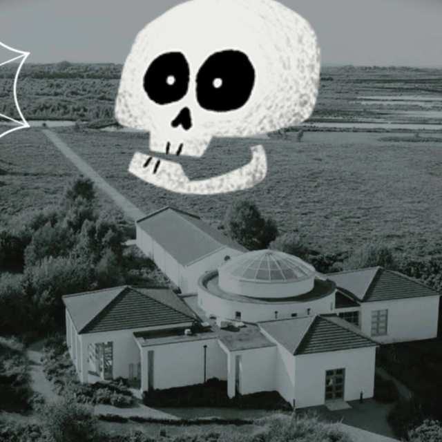 Féile na Samhna:  CREEPY CURIOSITY DIG!