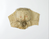 Halloween Mask