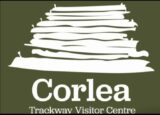 Corlea trackway artist impresion