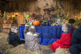 e545ed7f84da-d3089512a201-Halloween_National_B.width-635.format-webp.webp